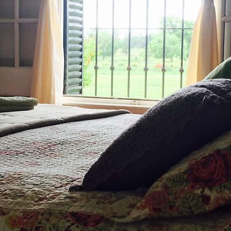 The Polo House Bed and Breakfast Pilar  Esterno foto